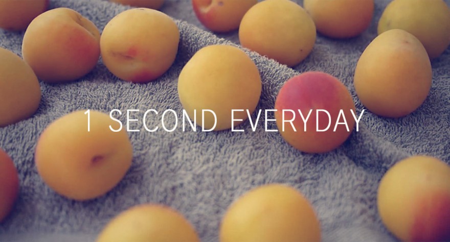 1 SECOND EVERYDAY