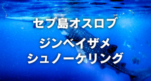セブ島オスロブ ジンベイザメシュノーケリング