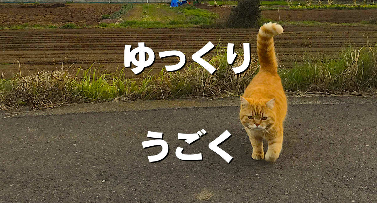 ゆっくりうごく