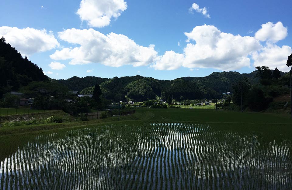 あやべ吉水へ!