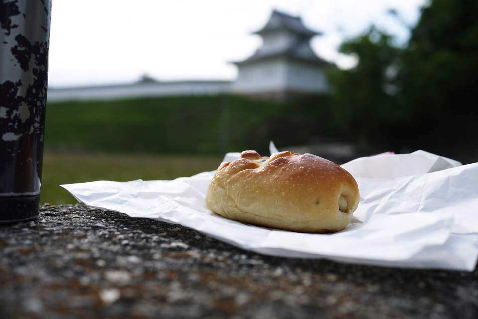 岡崎城