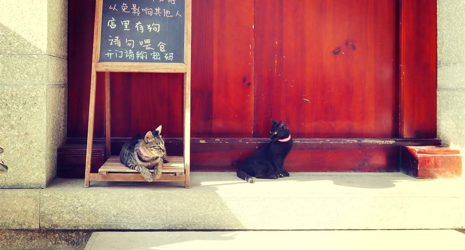 大理街歩き