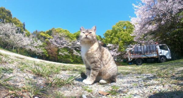 四国で人が少ない観光地をGoPro撮影